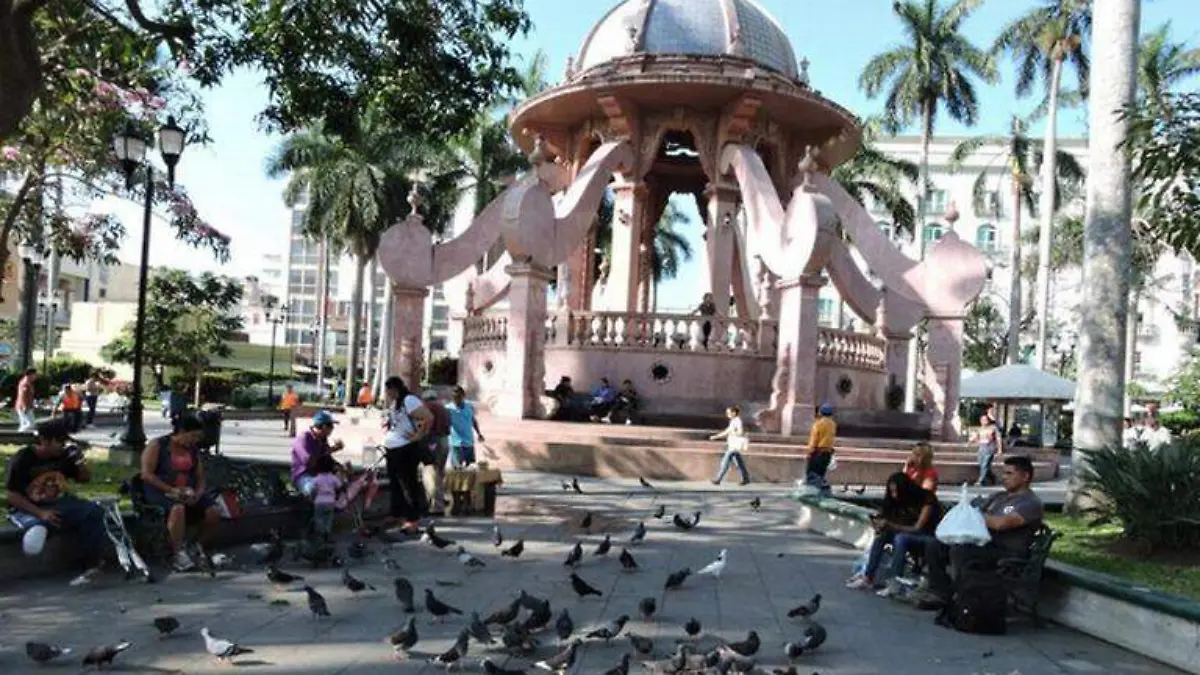 La semana pasada  se presentó una denuncia pública sobre la captura de aves en la Plaza de Armas de Tampico 